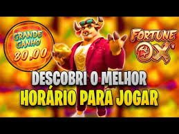 jogo de touro